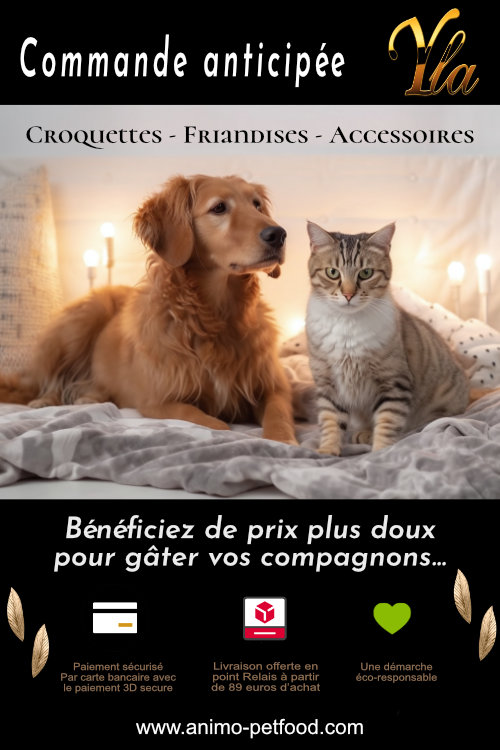 les-chiens-peuvent-ils-manger-des-peches